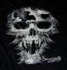 Demon's Cycle SPECIAL Heraldic Griffins with Nautical Star and Demon Skull T-Shirt (Black XL) Demons T Shirt Griffins Nautical Star Skull Special Black XL Image 